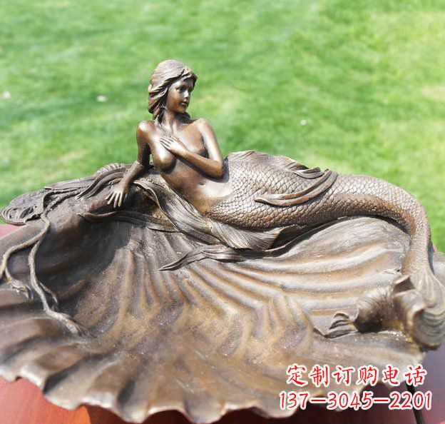 新乡新颖贝壳美丽的艺术之旅