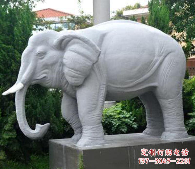 新乡大象大理石石雕