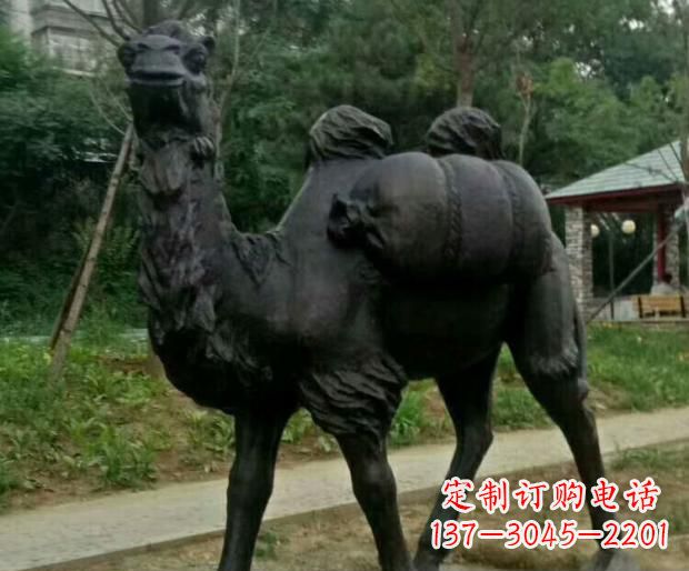 新乡驮行李的骆驼铜雕