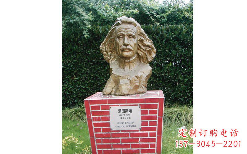 新乡西方名人爱因斯坦头像铜雕